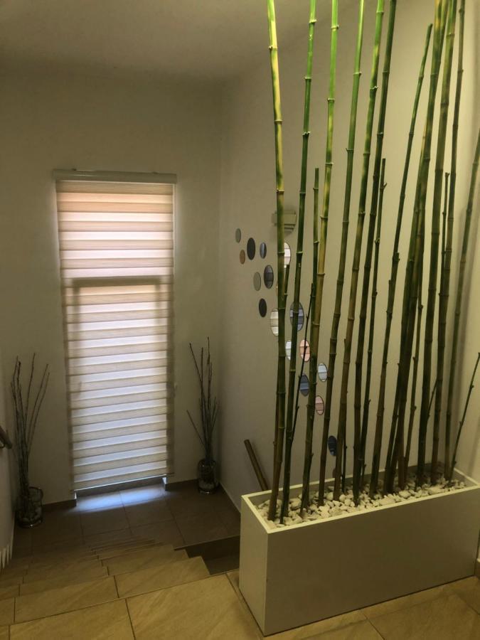 Apartments Dunja Novi Sad Ngoại thất bức ảnh